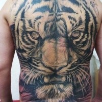 Large amazing looking whole back tattoo of evil tiger