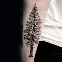 Large black and white forearm tattoo of tall tree