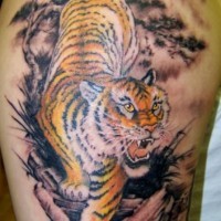 Großer farbiger kriechender Tiger Tattoo an der Schulter