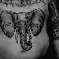 Large gray washed style belly tattoo of incredible elephant
