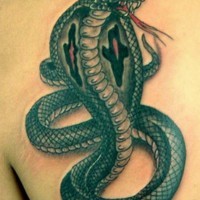 Realistic green cobra snake tattoo on shoulder