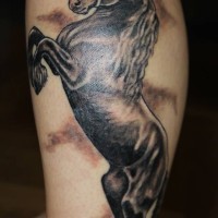 Large horse tattoo on leg by jasminasusak