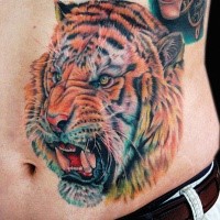 Large illustrative style colored belly tattoo of angry tiger