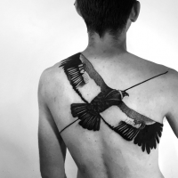 Large illustrative style upper back tattoo of big flying bird with black line