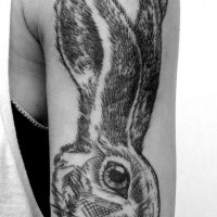 Large natural looking shoulder tattoo of big rabbit head