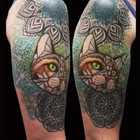 Large new school style colored shoulder tattoo of cat combined with floral ornaments