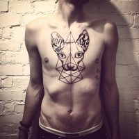 Tatuagem de peito grande agradável olhando de gato esfinge com ornamentos geométricos