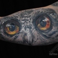 Großes in Realismusart gefärbtes Bizeps Tattoo mit Eulengesicht