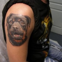 Tatuaggio carino sul deltoide la testa del rottweiler