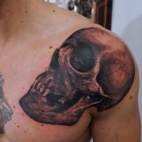 Realistic skull tattoo on  shoulder by graynd