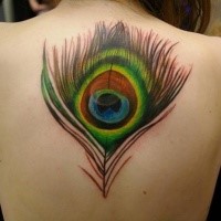 Große sehr schöne farbige Pfauenfeder Tattoo am oberen Rücken