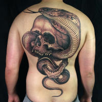 Large very detailed whole back tattoo of human skull with large snake