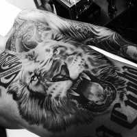 Large whole chest tattoo of roaring lion with lettering