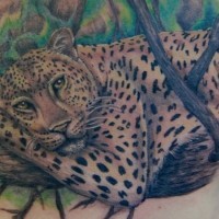 Leopard resting on a tree tattoo on chest