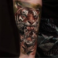 Lifelike colored arm tattoo of very detailed tiger family