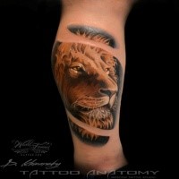 Lifelike colored leg tattoo of wise lion