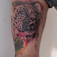 Lifelike colored thigh tattoo of leopard head with small bird
