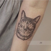 Tatuagem de antebraço de estilo de ponto de vida de gato olhando bonito