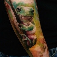 Lifelike realism style colored arm tattoo of cute frog