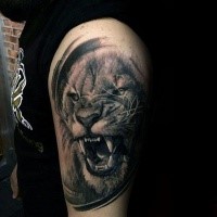 Lifelike very beautiful looking shoulder tattoo of roaring lion portrait