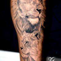 Lion and lioness tattoo by Ferraro