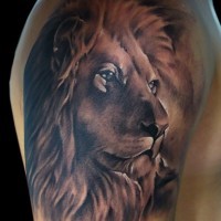 Tatuaggio sul deltoide la faccia di  leone pensieroso