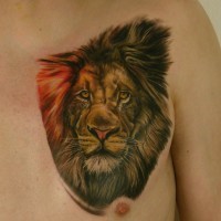 Lion head tattoo designer on the man's chest