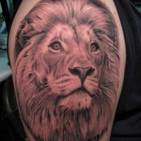 Tatouage sur le bras de lion détaillé