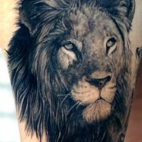 Tatouage de lion sur le bras à l'encre noir