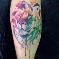 Tatouage aquarelle de lion coloré sur le mollet