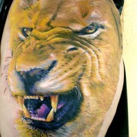 Tatuaggio sul deltoide la faccia di leone feroce