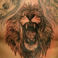 Roaring lion with mexican skulls tattoo on  chest