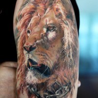 Tatuaggio colorato sul deltoide la faccia di leone re gli animali