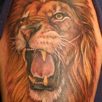 Tatuaggio colorato sul deltoide la faccia di leone feroce