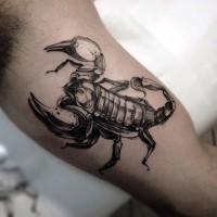Little 3D like black and white detailed scorpion tattoo on biceps