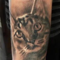 Little black and white forearm tattoo of cat portrait