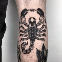 Tatuaje en la pierna,
escorpión grande negro blanco interesante