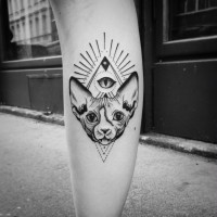 Tatuaje en la pierna, gato fantástico con ojo masónico y figura geométrica