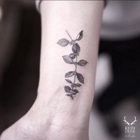 Pequena tatuagem de braço estilo blackwork pintada por Zihwa de pequenas folhas