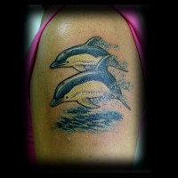Little colored beautiful dolphins tattoo on shoulder