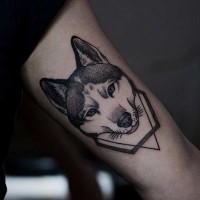 Little colored natural looking wolf head tattoo on arm with geometrical figure