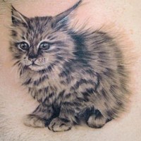 Tatuaje de gato bonito asustado