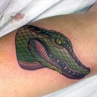 Tatuaje en el antebrazo, cabeza de caimán multicolor