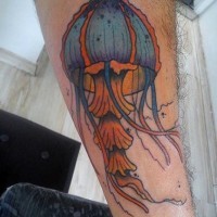 Tatuaje en el brazo,
medusa hermosa de colores