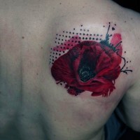 Little red colored little flower tattoo on shoulder