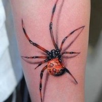 Little red spider tattoo on arm