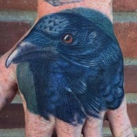 Little wise looking colored crow tattoo on hand