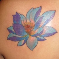 bellissimo loto blu tatuaggio