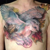 Lovely colorful owl tattoo on chest