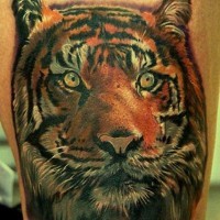 Lovely colorful tiger head tattoo